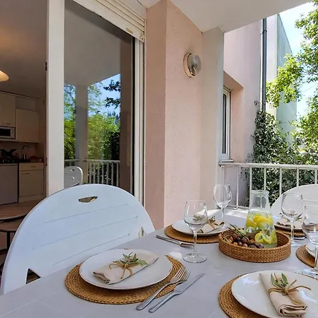Proche Saint-Palais-sur-Mer