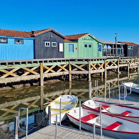 Proche Saint-Palais-sur-Mer